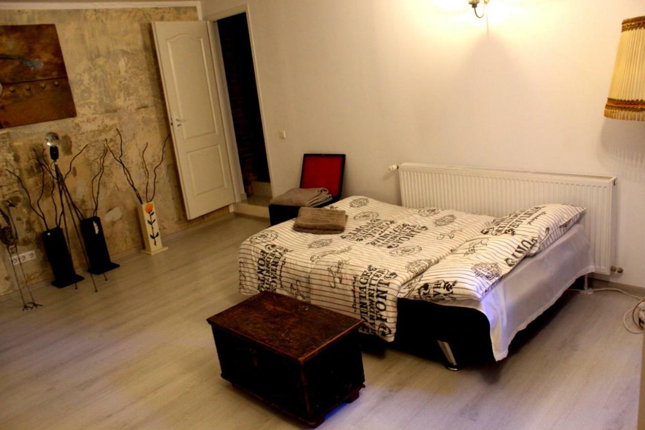 Mansion Josephina Apartment Клуж-Напока Екстериор снимка